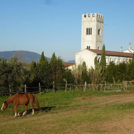 Casa Marce A "Sonno" Bed & Breakfast Porcari Luaran gambar