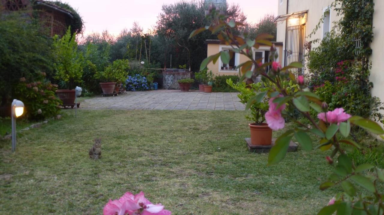 Casa Marce A "Sonno" Bed & Breakfast Porcari Luaran gambar